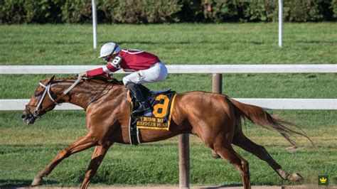 yesterdays virtual racing results|Virtual Horse Racing Results .